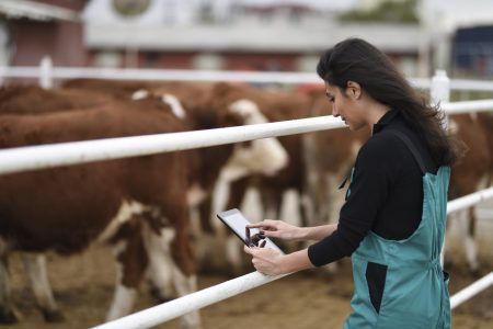 Young female farmer using a digital tablet